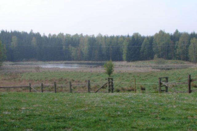 dsc04326.jpg