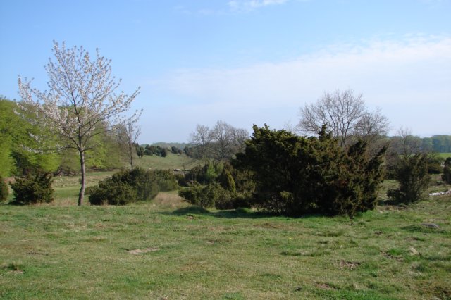 dsc04341.jpg